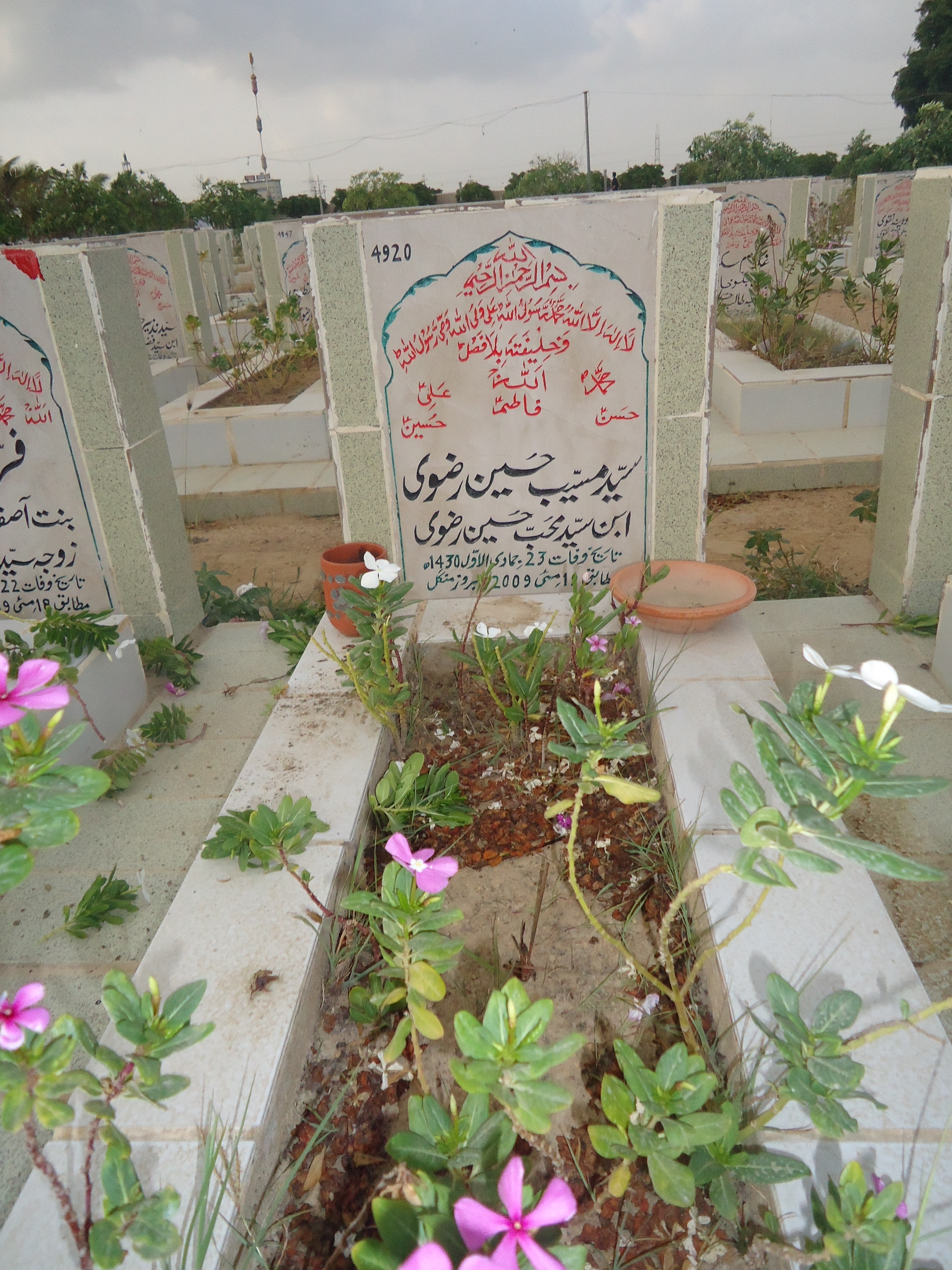 4920 – syed musayeb hussain rizvi